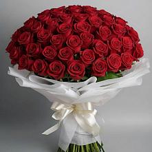Букет 101 Красная роза Блэк Мэджик в Старой Руссе