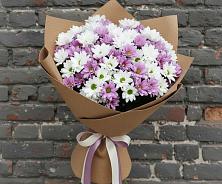 Букет цветов из:  Хризантемы в Старой Руссе