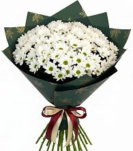 Букет цветов из:  Хризантемы в Старой Руссе