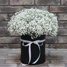 Цветочная композиция из Гипсофила в шляпной коробке #REPLACE_PRED# Старой Руссе